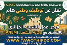 تعاونية الحبوب والبقول الجافة O.A.I.C تعلن عن توظيف في مختلف الولايات بالتنسيق مع وكالة التشغيل (ANEM)