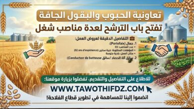 تعاونية الحبوب والبقول الجافة تفتح باب الترشح لعدة مناصب شغل