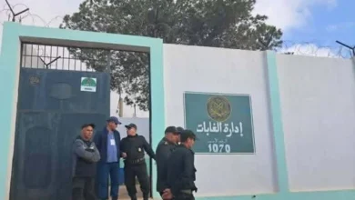 إعلان عن توظيف عن طريق التكفل بعد عملية النقل في المديرية العامة للغابات