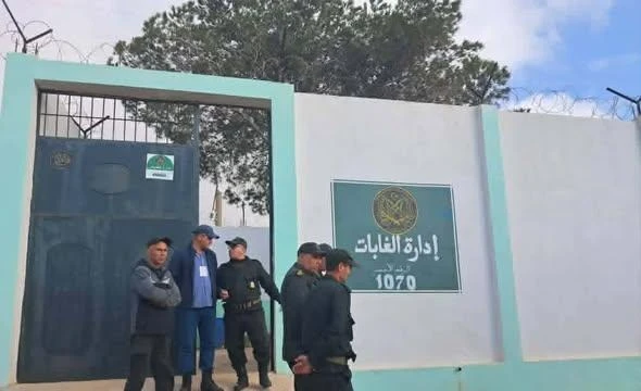 إعلان عن توظيف عن طريق التكفل بعد عملية النقل في المديرية العامة للغابات