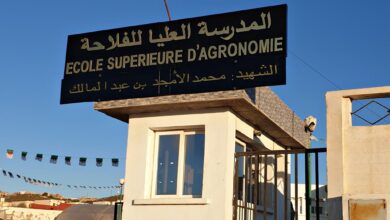 المدرسة العليا للفلاحة بمستغانم تعلن عن فتح مسابقة للتوظيف الخارجي