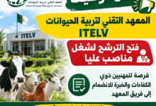 إعلان توظيف المعهد التقني لتربية الحيوانات ITELV: فتح الترشح لشغل مناصب عليا