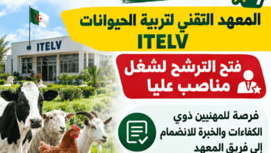 إعلان توظيف المعهد التقني لتربية الحيوانات ITELV: فتح الترشح لشغل مناصب عليا