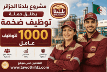 مشروع بلدنا الجزائر يطلق حملة توظيف ضخمة لتوظيف 1000 عامل