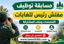 مسابقة توظيف مفتش رئيس للغابات: التخصصات وملف المشاركة